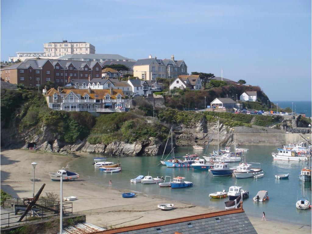Harbour Hotel New Quay Exterior foto